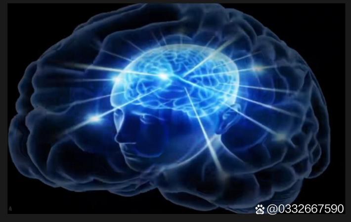 某知名网红直播间售假被曝光,粉丝集体脱粉回踩